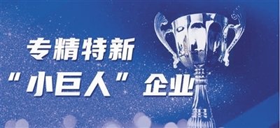 工业和信息化部办公厅关于开展2025年专精特新“小巨人”企业认定和复核工作的通知