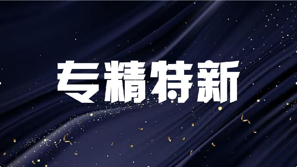 “专精特新”