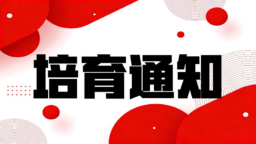 关于做好工业大模型培育工作的通知