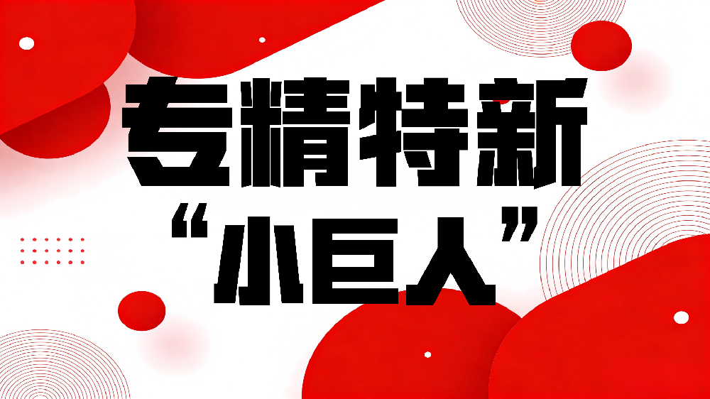 关于开展2026年度专精特新“小巨人”企业认定和复核工作的通知